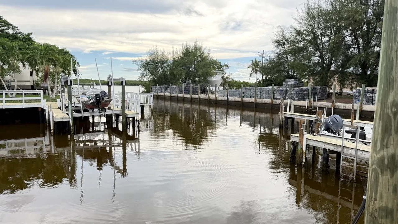 The marina basin and docks, looking out toward the mangroves